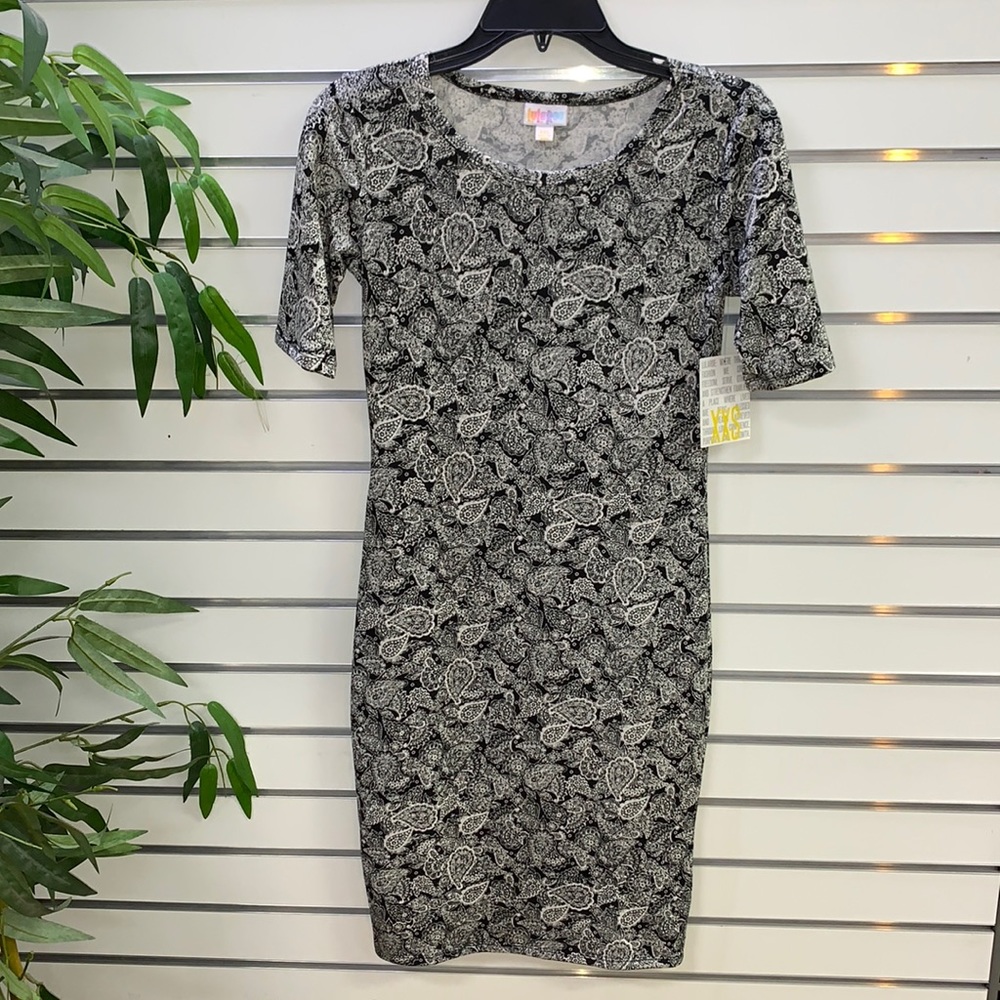 NWT LuLaRoe "Julie" Paisley Dress